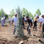 Diyarbakır’da engelliler fidan dikerek geleceğe nefes oldu