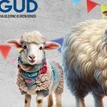 Kayseri Talas’ta France ırkına özel festival
