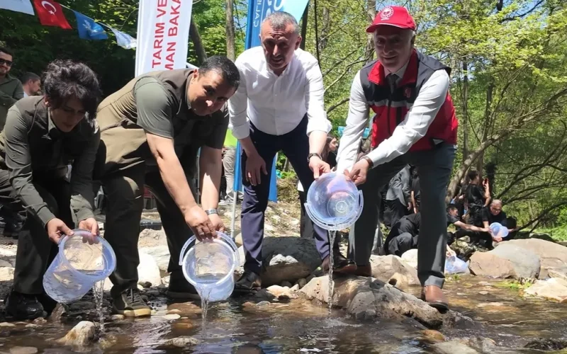 Kocaeli Kirazdere’ye 2 yılda 16 bin alabalık salındı
