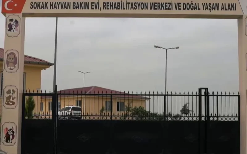 Siirt’te sokak hayvanları için dev proje