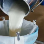 Türkiye’de süt üretimi yükseliyor! Mart’ta 1 milyon 15 bin ton süt toplandı